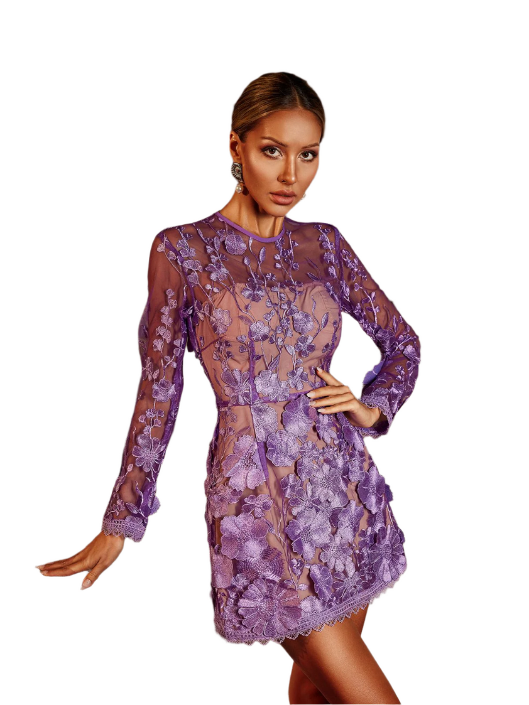 Brielle – Women’s Long Sleeve Embroidered Mini Dress
